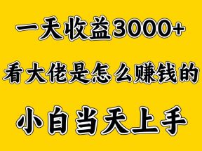 一天赚3000多，大佬是这样赚到钱的，小白当天上手，穷人翻身项目