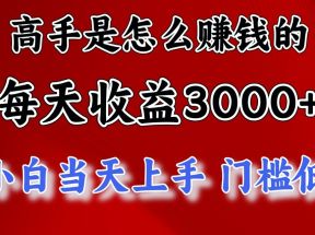 高手是怎么一天赚3000+的，小白当天上手，翻身项目，非常稳定。