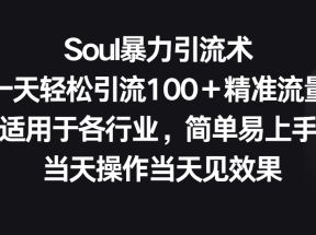 Soul暴力引流术，一天轻松引流100＋精准流量，适用于各行业，简单易上手！