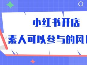 小红书开店，素人可以参与的风口（39节视频课程）