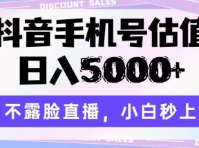 抖音手机号估值，日入5000+，不露脸直播，小白秒上手