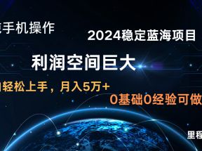 2024新蓝海项目 无门槛高利润长期稳定  纯手机操作 单日收益3000+ 小白当天上手