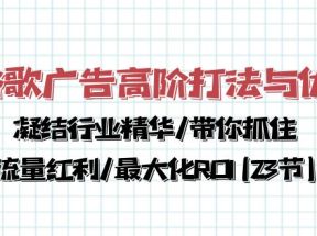 谷歌广告高阶打法与优化，凝结行业精华/带你抓住流量红利/最大化ROI(23节)