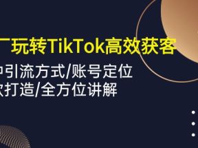 外贸工厂玩转TikTok高效获客，多种引流方式/账号定位/爆款打造/全方位讲解