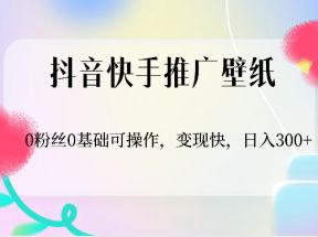 抖音快手推广壁纸，0粉丝0基础可操作，变现快，日入300+