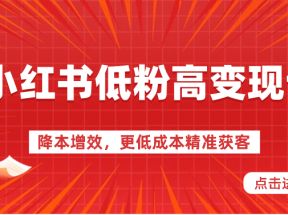 小红书低粉高变现课-降本增效，更低成本精准获客，小红书必爆的流量密码