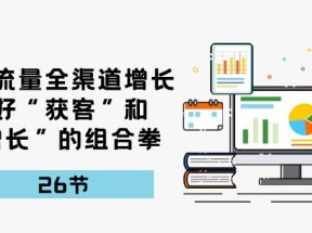 引爆流量，全渠道增长，打好“获客”和“增长”的组合拳（27节课）