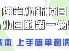 蜡笔小新项目拆解，0投入，0成本，小白一个月也能多赚3000+