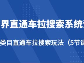 无界直通车拉搜索系统课-各类目直通车拉搜索玩法（5节课）