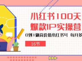 小红书100天爆款IP实操营，0到1做高价值小红书号，每月多赚3000+（16节）