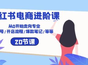 小红书电商进阶课：从0开始走向专业 起号/开店流程/爆款笔记/等等（20节）