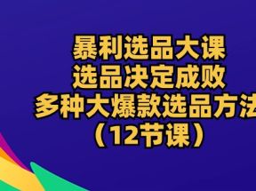 暴利选品大课：选品决定成败，教你多种大爆款选品方法（12节课）