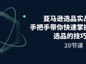 亚马逊选品实战班，手把手带你快速掌握亚马逊选品的技巧（20节课）