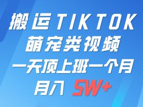 一键搬运TIKTOK萌宠类视频，一部手机即可操作，所有平台均可发布 轻松月入5W+