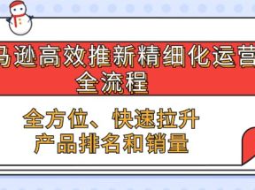 亚马逊高效推新精细化运营全流程，全方位、快速 拉升产品排名和销量