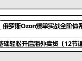 俄罗斯Ozon爆单实战全阶体系课，零基础轻松开启海外卖货（12节课）