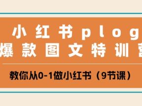 小红书plog爆款图文特训营，教你从0-1做小红书（9节课）