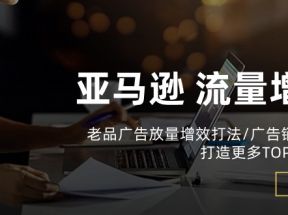 亚马逊流量增长-老品广告放量增效打法/销量翻倍/打造更多TOPlisting