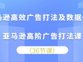 亚马逊高效广告打法及数据优化，亚马逊高阶广告打法课（36节）