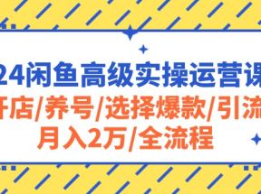 2024闲鱼高级实操运营课程：开店/养号/选择爆款/引流/月入2万/全流程