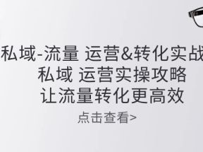 私域流量运营转化实操课：私域运营实操攻略，让流量转化更高效