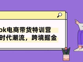 TikTok电商带货特训营，跟随时代潮流，跨境掘金（8节课）