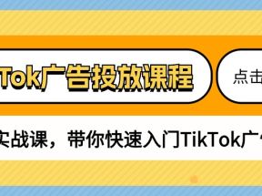 TikTok广告投放课程，从0-1实战课，带你快速入门TikTok广告投放（30节课）