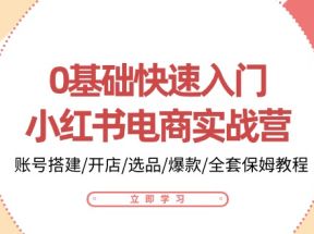 0基础快速入门小红书电商实战营：账号搭建/开店/选品/爆款/全套保姆教程