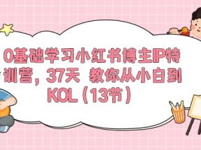 0基础学习小红书博主IP特训营【第5期】，37天教你从小白到KOL（13节）