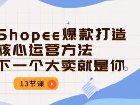 Shopee爆款打造核心运营方法，下一个大卖就是你（13节课）