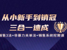 从小新手到销冠三合一速成：销售3法+非暴力关单法+销售系统挖需课 (27节)