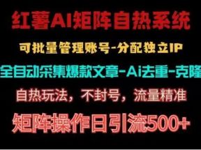 红薯矩阵自热系统，独家不死号引流玩法！矩阵操作日引流500+