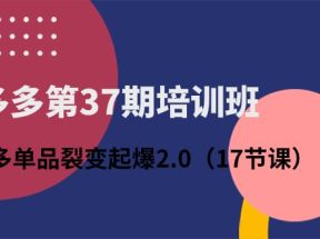 拼多多第37期培训班：拼多多单品裂变起爆2.0（17节课）