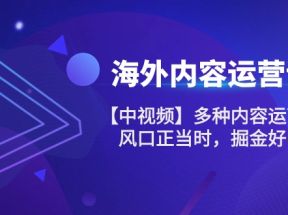 海外内容运营课【中视频】多种内容运营玩法 风口正当时 掘金好时机（101节）