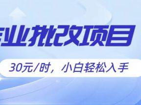 作业批改项目30元/时，简单小白轻松入手，非常适合兼职