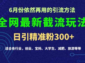 2024全网最新截留玩法，每日引流突破300+