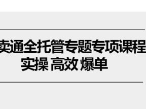 速卖通全托管专题专项课程，实操 高效 爆单（11节课）