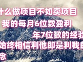 做项目不如卖项目，每月6位数盈利，年7位数经验