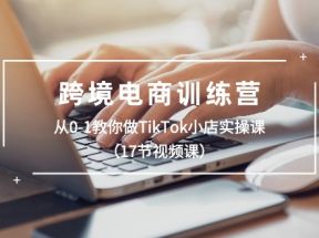 跨境电商训练营：从0-1教你做TikTok小店实操课（17节视频课）