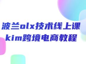 波兰olx技术线上课，kim跨境电商教程