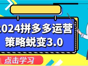 2024拼多多运营策略蜕变3.0-提升拼多多认知、制定运营策略、实现盈利收割等