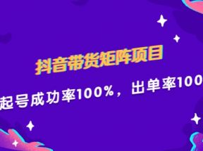 抖音带货矩阵项目，起号成功率100%，出单率100%