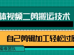 详细教你自媒体视频二剪搬运技术，自己加工轻松过原创【视频教程】