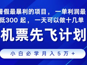 2024暑假最赚钱的项目，市场很大，一单利润300+，每天可批量操作