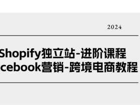 Shopify独立站进阶课程-Facebook营销跨境电商教程（25节）