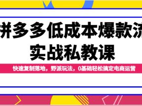 拼多多低成本爆款流实战私教课，快速复制落地，野派玩法，0基础轻松搞定电商运营