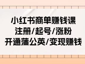 小红书商单赚钱课：注册/起号/涨粉/开通蒲公英/变现赚钱（25节课）