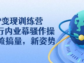 IP变现训练营：N多行内业幕骚作操，教你流搞量，新姿势！