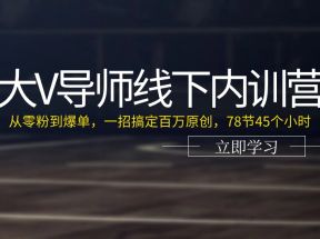 大V导师线下内训营：从零粉到爆单，一招搞定百万原创（78节45个小时）