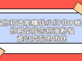 教你打造能赚钱小红书IP账号：你将彻底告别涨粉慢，难以变现的困扰